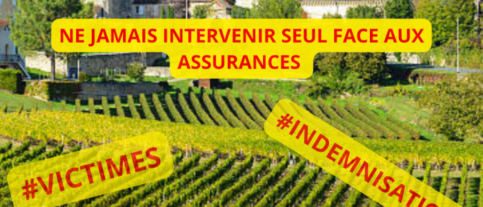 ANTENNE D'AQUITAINE (1)